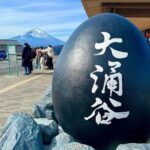 Mt. Fuji Hakone Ropeway and Oshino Hakkai Day Tour - Who Would Love This Tour?