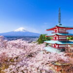 Mt Fuji /Kawaguchi customize private charter car - Who Would Enjoy This Tour?