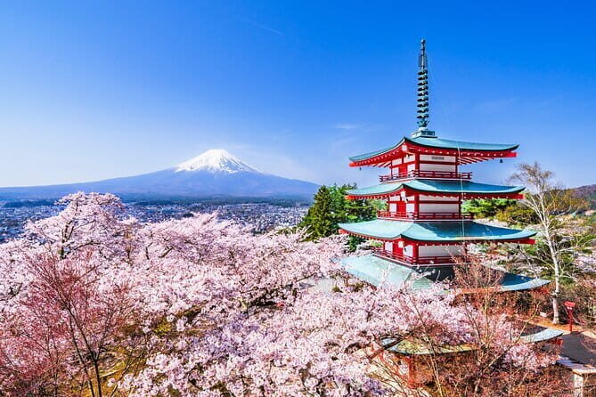 Mt Fuji /Kawaguchi customize private charter car - Who Would Enjoy This Tour?