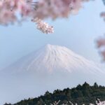 Mt Fuji Private Tour with English speaking driver - Who Is This Tour Best For?