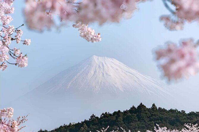 Mt Fuji Private Tour with English speaking driver - Who Is This Tour Best For?