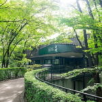 Mt. Fuji viewing & Suntory Hakushu Distillery Whisky Museum - A Full Breakdown of the Experience
