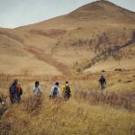 Mt. Yufu Grassland Private Hiking and Lunch - Who Should Consider This Tour?
