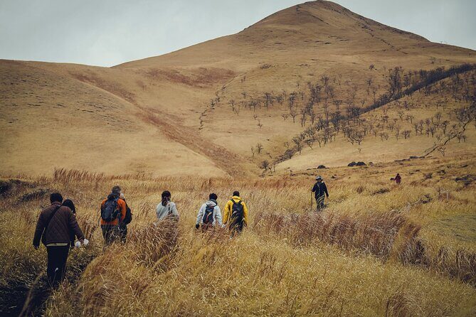 Mt. Yufu Grassland Private Hiking and Lunch - Who Should Consider This Tour?
