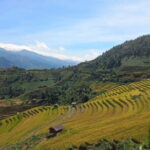 Mu Cang Chai One Day Trekking Tour With Local Guide - Transportation and Practicalities