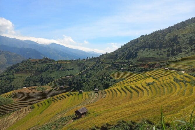 Mu Cang Chai One Day Trekking Tour With Local Guide - Transportation and Practicalities