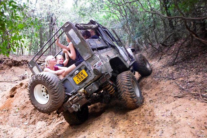 Mud Safari from Habarana - What Is the Mud Safari from Habarana?