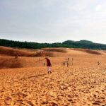 Mui Ne Day Tour From Nha Trang - Who Is This Tour Best For?