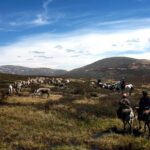 Multi-Day Tour to the Reindeer Tribe in Mongolia - Who Would Love This Tour?