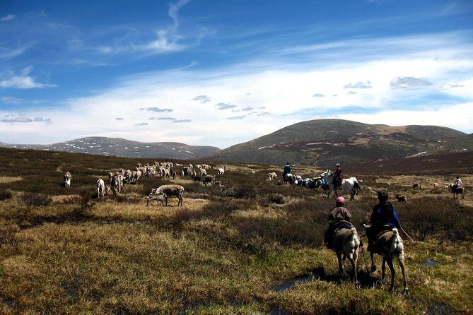 Multi-Day Tour to the Reindeer Tribe in Mongolia - Who Would Love This Tour?