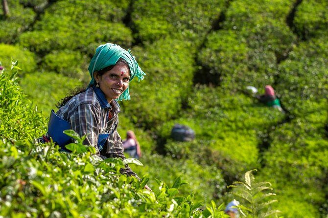 Munnar 2 Nights Solo Tour Package - What You Can Expect: Breaking Down the Itinerary