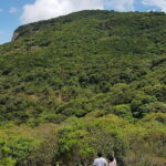Munnar trek - Western Ghats - Final Thoughts: Who Will Love This Tour?