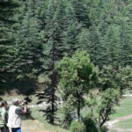 Mussoorie Nature Walk Tour - The Sum Up