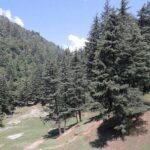Mussoorie Weekend Tour Package 3 Days By Car - Who Should Consider This Tour?