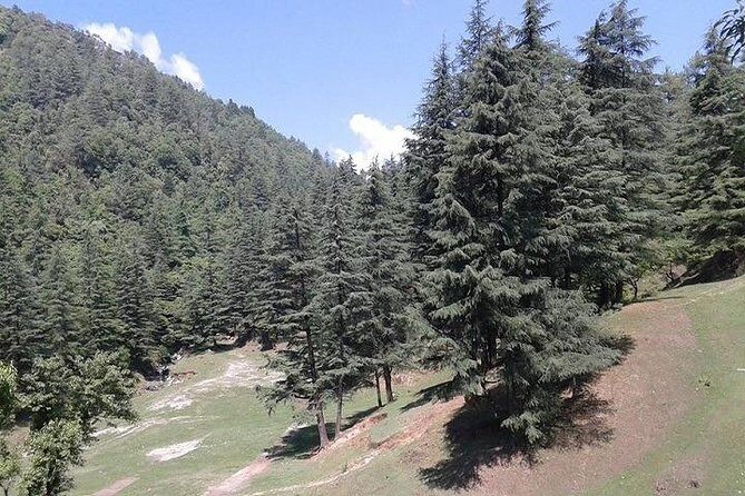 Mussoorie Weekend Tour Package 3 Days By Car - Who Should Consider This Tour?