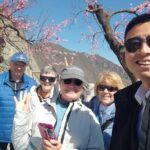 Mutianyu Great Wall and Ming Tomb Beijing - Who Is This Tour Best For?