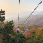 Mutianyu Great Wall Layover Tour from Tianjin Port including Lunch - Authentic Tips and Insights from Reviews
