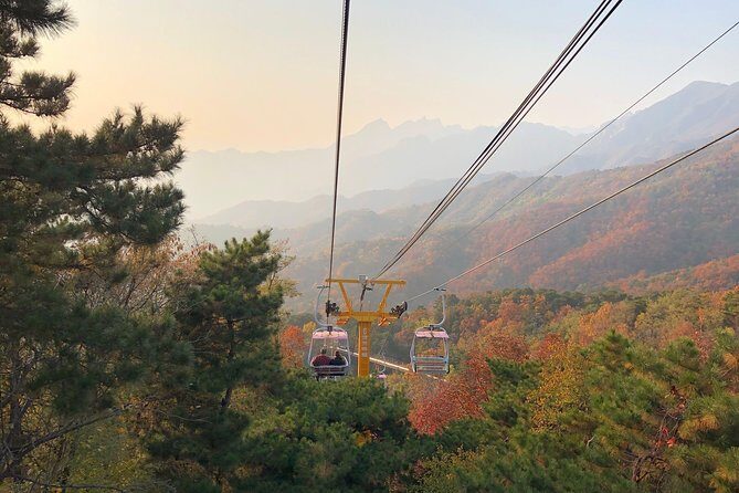 Mutianyu Great Wall Layover Tour from Tianjin Port including Lunch - Authentic Tips and Insights from Reviews