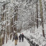 Myoko and Madarao Day Tour Snow Monkeys, Zenkoji and Sake - The Value of This Tour