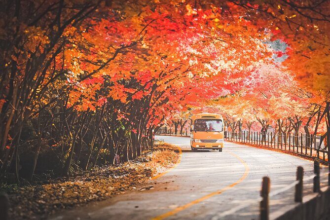 Naejangsan Fall Foliage Tour from Busan with Seoul Drop-off - Is It Worth the Price?