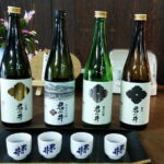 Nagano-Myoko-Joetsu Private Tour with Licensed Guide - What’s Included and What to Expect