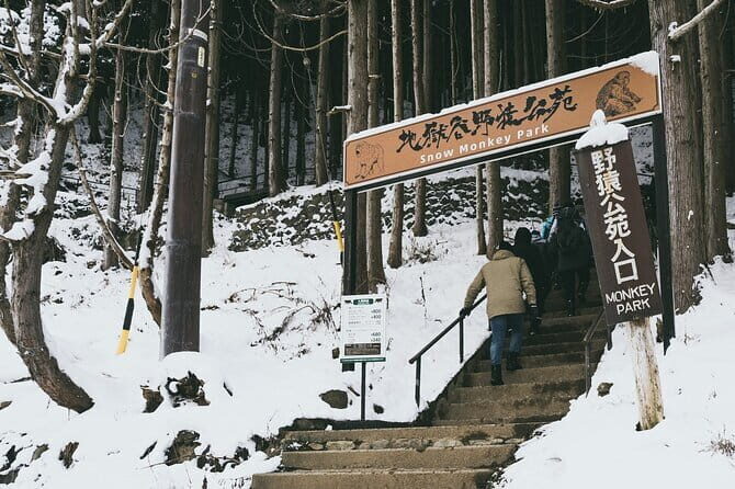 Naganos Snow Monkeys and Sake Tasting Day Tour - FAQs