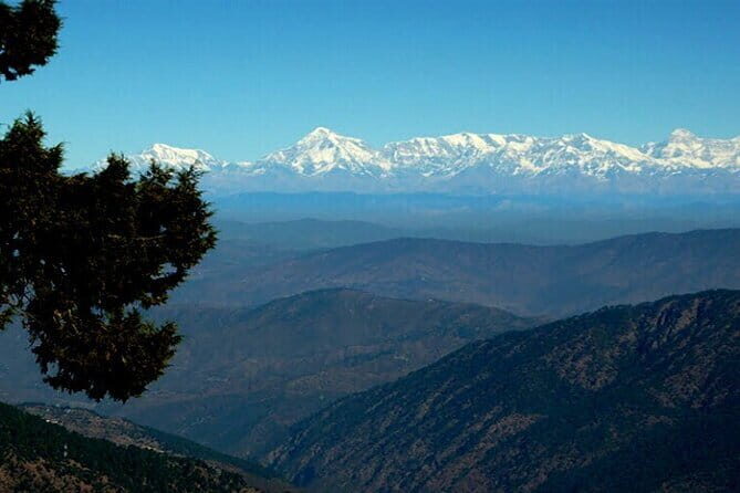 Nainital Nature Trekking Experience (4 Hours guided experience) - An In-Depth Look at the Nainital Trekking Experience