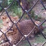 NAINITAL TOUR (2 Nights /3 Days) - The Experience: Pros and Cons