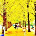 Nami island and Petite France {Private day tour} - Transportation & Experience Quality