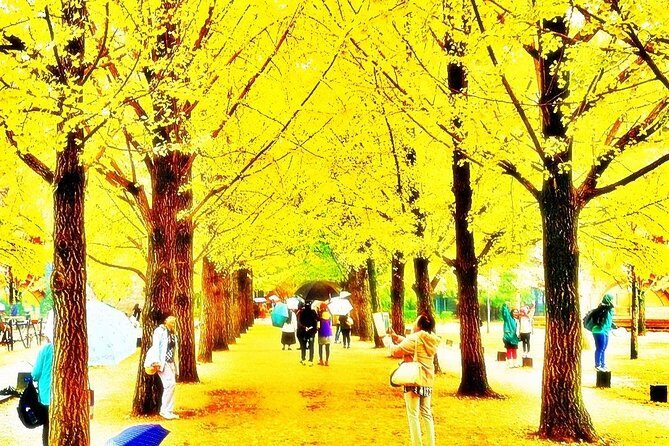 Nami island and Petite France {Private day tour} - Transportation & Experience Quality