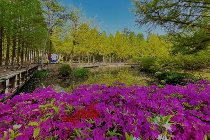Nami Island and Rail Bike Day Trip from Seoul - Analyzing the Value