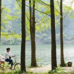Nami Island with The Garden of Morning Calm Rail Bike from Seoul - A Comprehensive Look at This Day Trip From Seoul