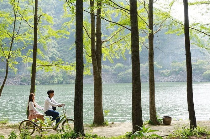 Nami Island with The Garden of Morning Calm Rail Bike from Seoul - A Comprehensive Look at This Day Trip From Seoul