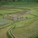 Namobuddha- Panauti hike with stop at Dhulikhel - Why This Tour Works for Different Travelers