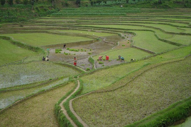 Namobuddha- Panauti hike with stop at Dhulikhel - Why This Tour Works for Different Travelers