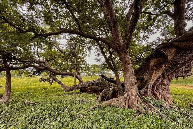 Nandi Trail Tour - The Sum Up