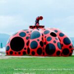 Naoshima 1 Day Tour from Osaka - What’s the Real Value for Travelers?