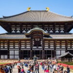 NARA and KYOTO 1 Day Bus Tour - Transportation and Group Size
