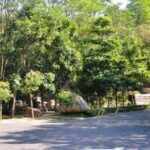 National Top Level Scenery--West Lake Private Tour from Guangzhou - What to Expect from the Tour Experience