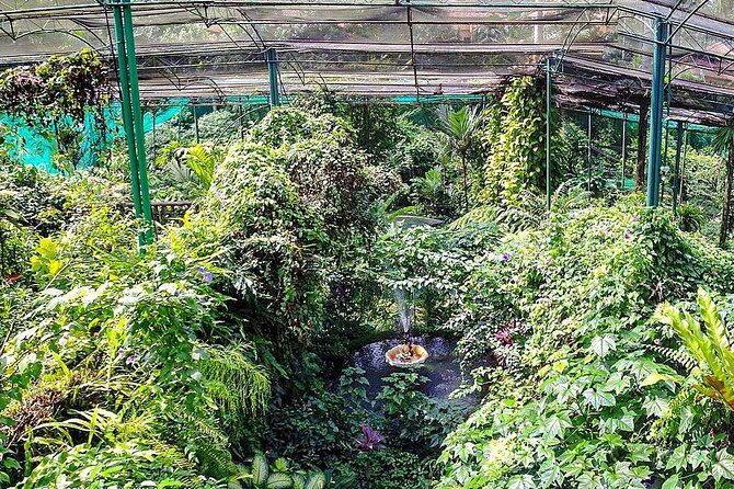 Nature And Gardens Tour From Kuala Lumpur All Entrance Included - Final Thoughts