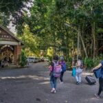 Nature Excursion in Borneo Tropical Rainforest Resort - What to Consider Before Booking?