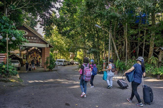 Nature Excursion in Borneo Tropical Rainforest Resort - What to Consider Before Booking?