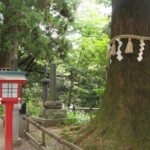 Nature tour at Mt. Takao - Who Would Love This Tour?