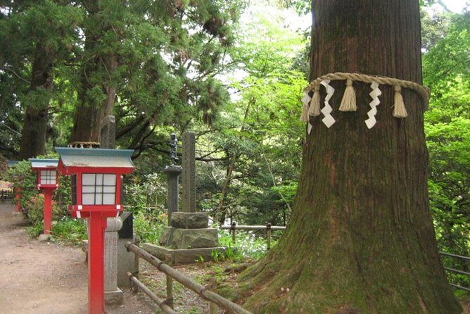 Nature tour at Mt. Takao - Who Would Love This Tour?