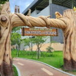 Nature Trip in Uljin - The Experience’s Practical Aspects and Value