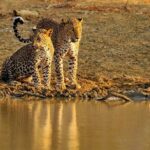Nature & Wildlife - 10 Days Tour - Final Thoughts: Who Is This Tour Perfect For?