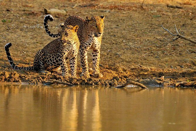 Nature & Wildlife - 10 Days Tour - Final Thoughts: Who Is This Tour Perfect For?