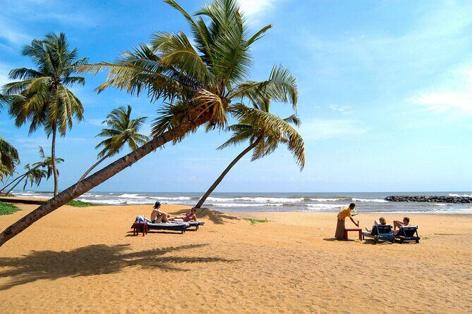 Negombo City Tour - Who Should Consider This Tour?