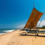 Negombo One Day Trip from Colombo - Transport and Practicalities