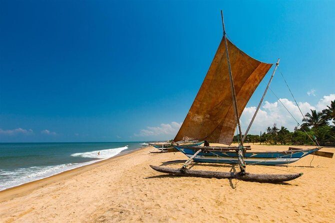 Negombo One Day Trip from Colombo - Transport and Practicalities